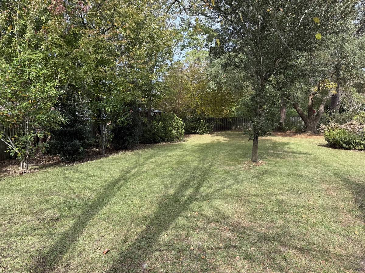 The same back lawn cleared to clean turf
