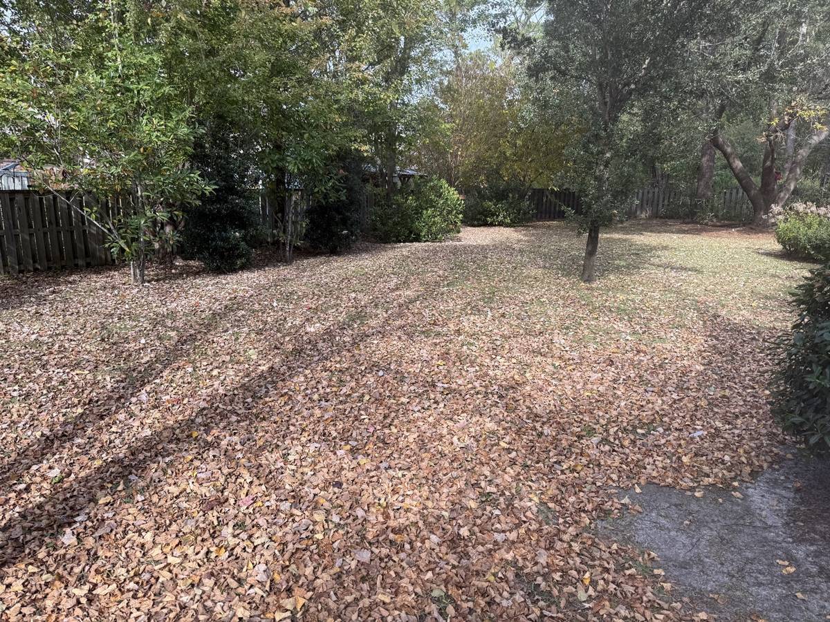 Back lawn buried in leaf fall