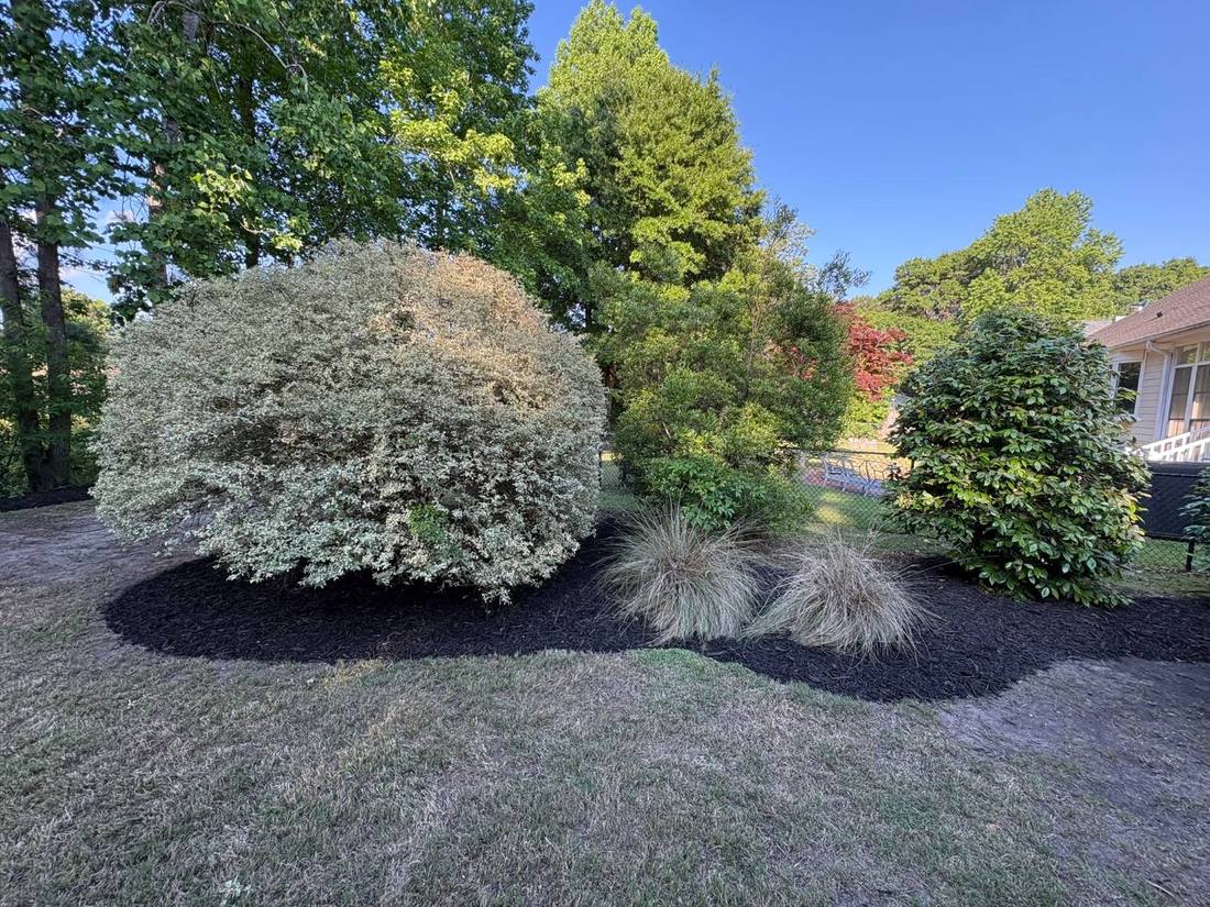 The same bed re-edged and topped with fresh dark mulch
