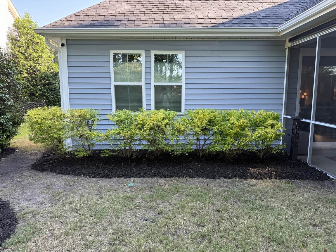 Low hedge trimmed level beneath a front window