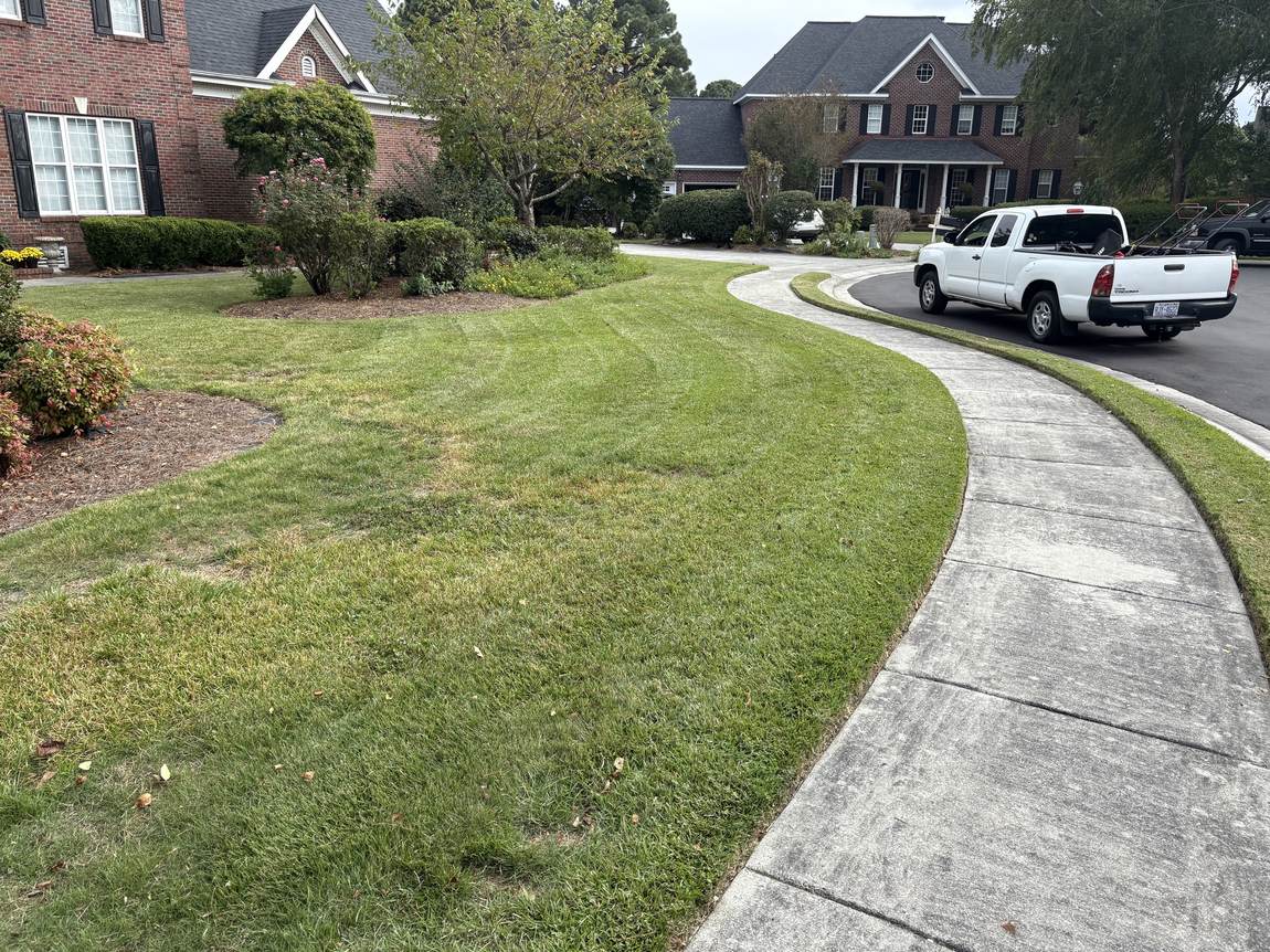 Trimmed shrubs following a curved walk at a brick home