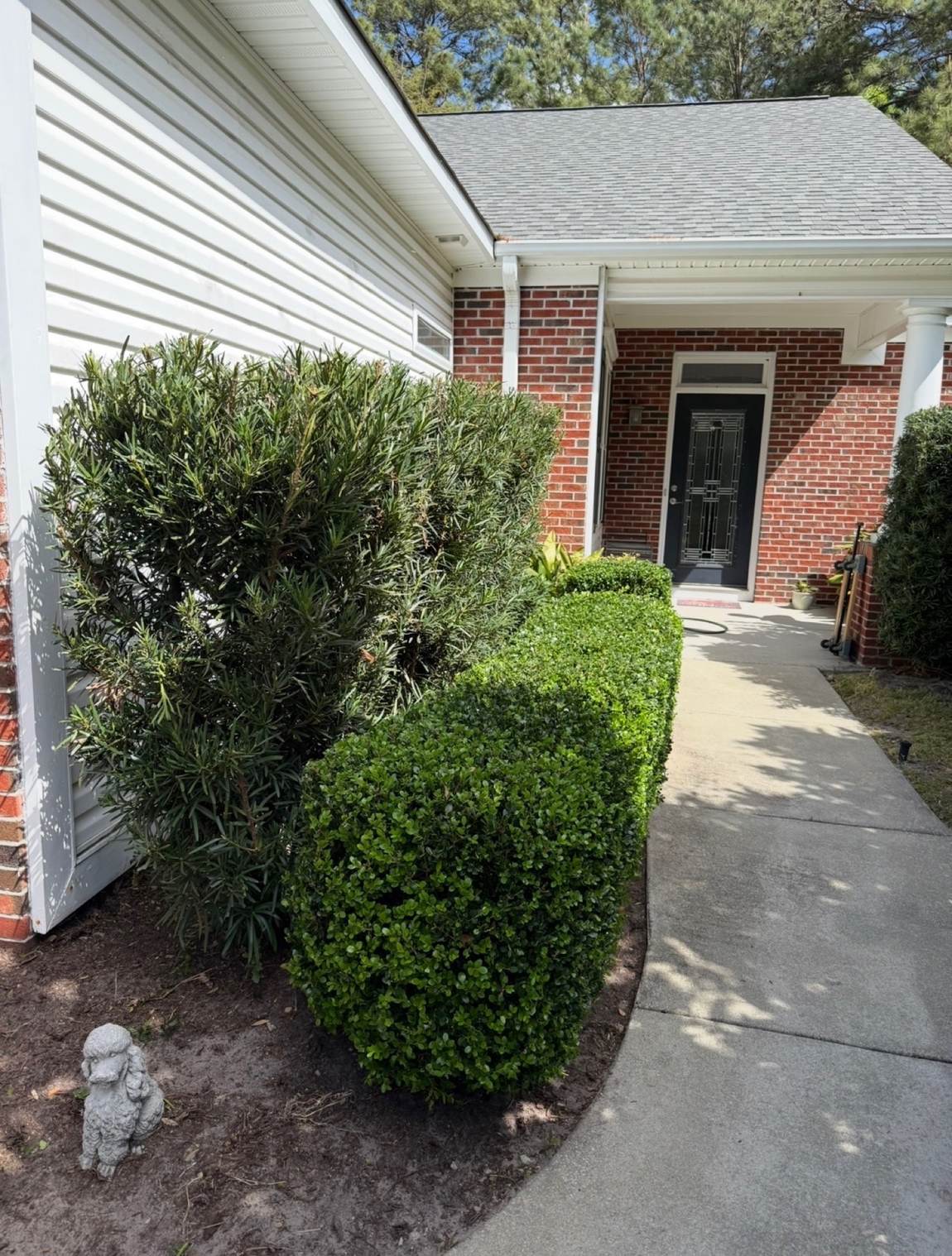 Boxwoods trimmed into clean round forms beside a front walk
