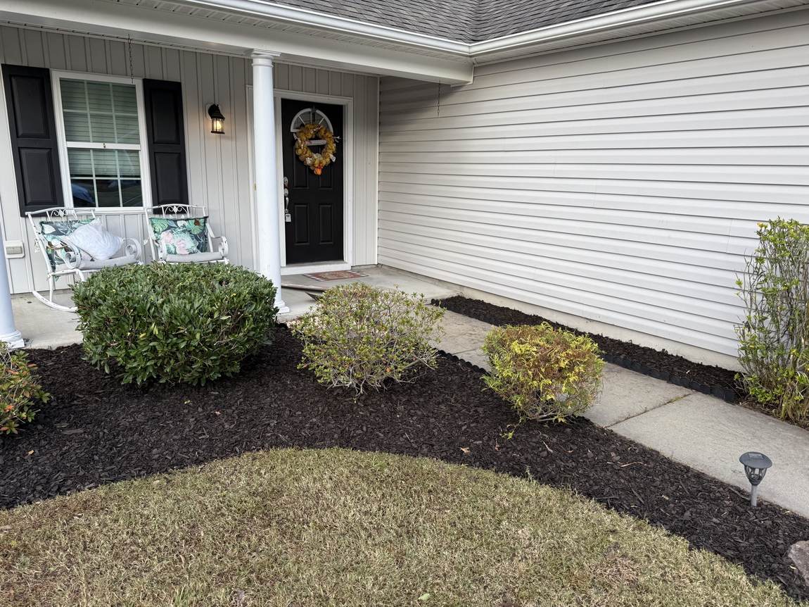 Foundation shrubs trimmed clean over fresh mulch