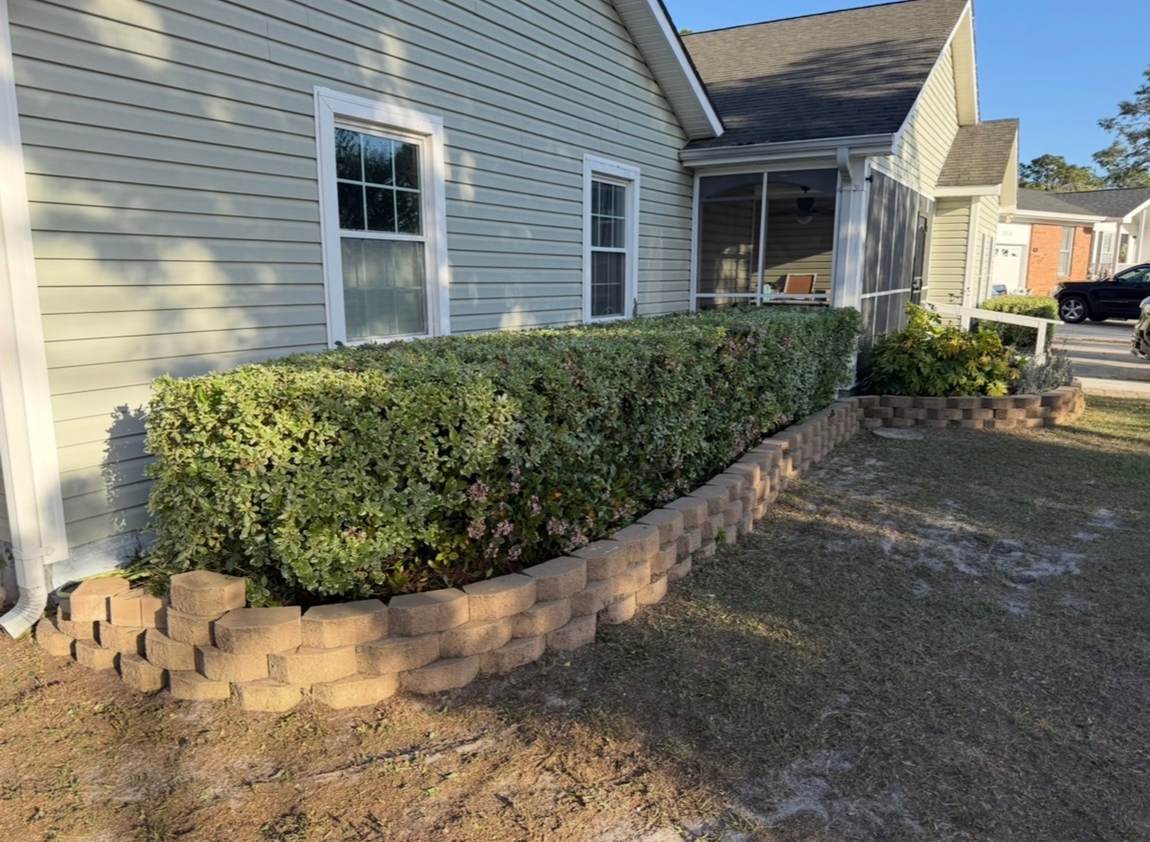 Long hedge shaped above a stone block border