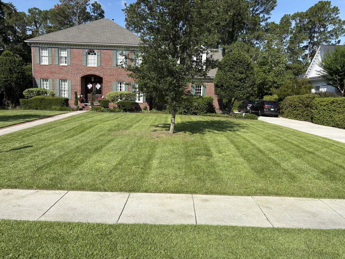 Striped lawn in front of a brick colonial
