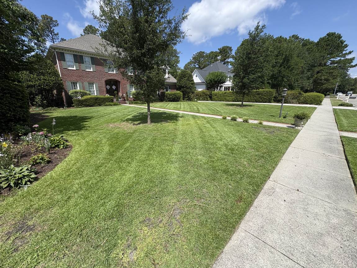 Striped lawn beside a brick walkway