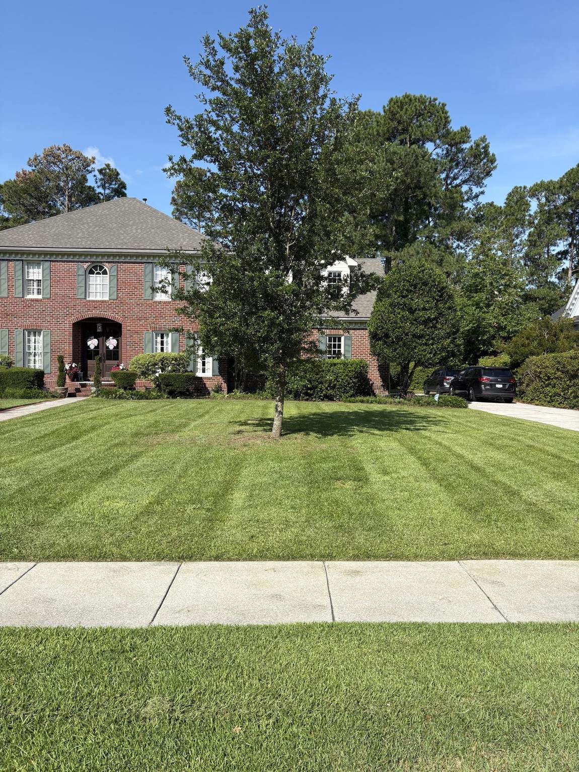 Striped lawn beside a driveway