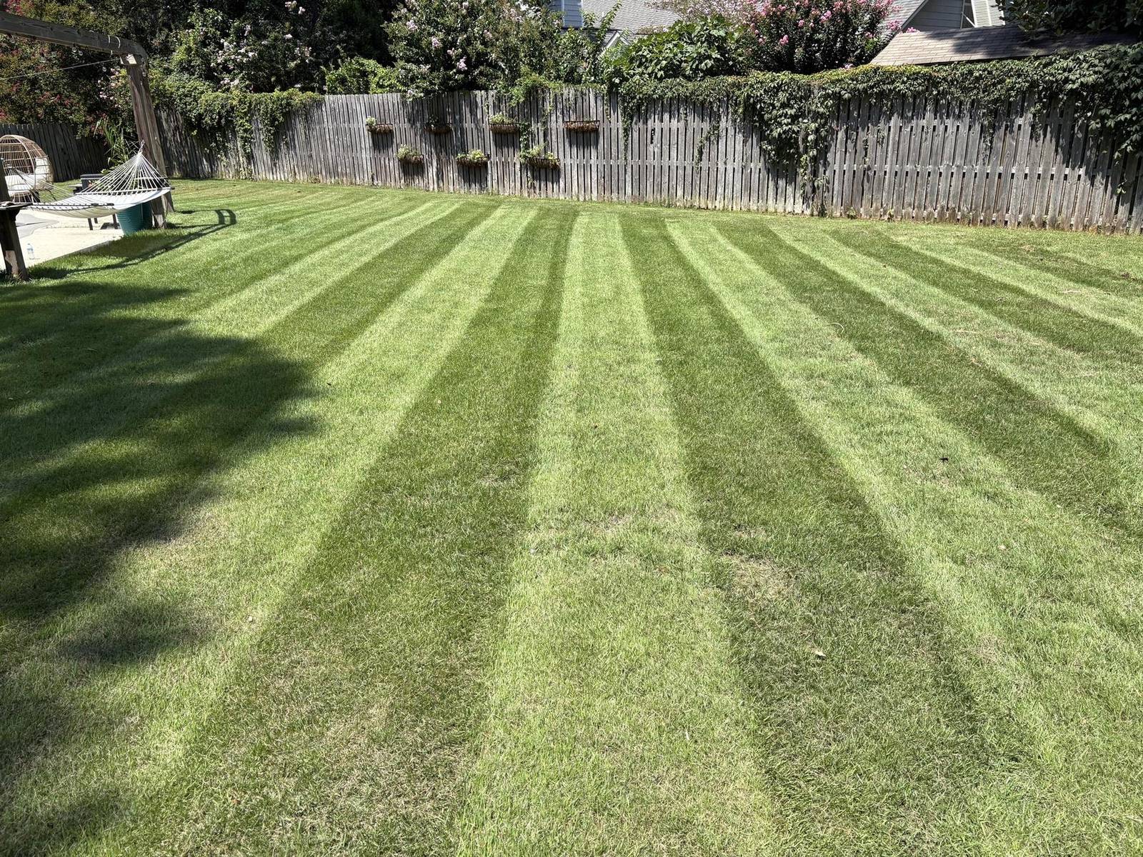 Deep mowing stripes cut into a Wilmington backyard