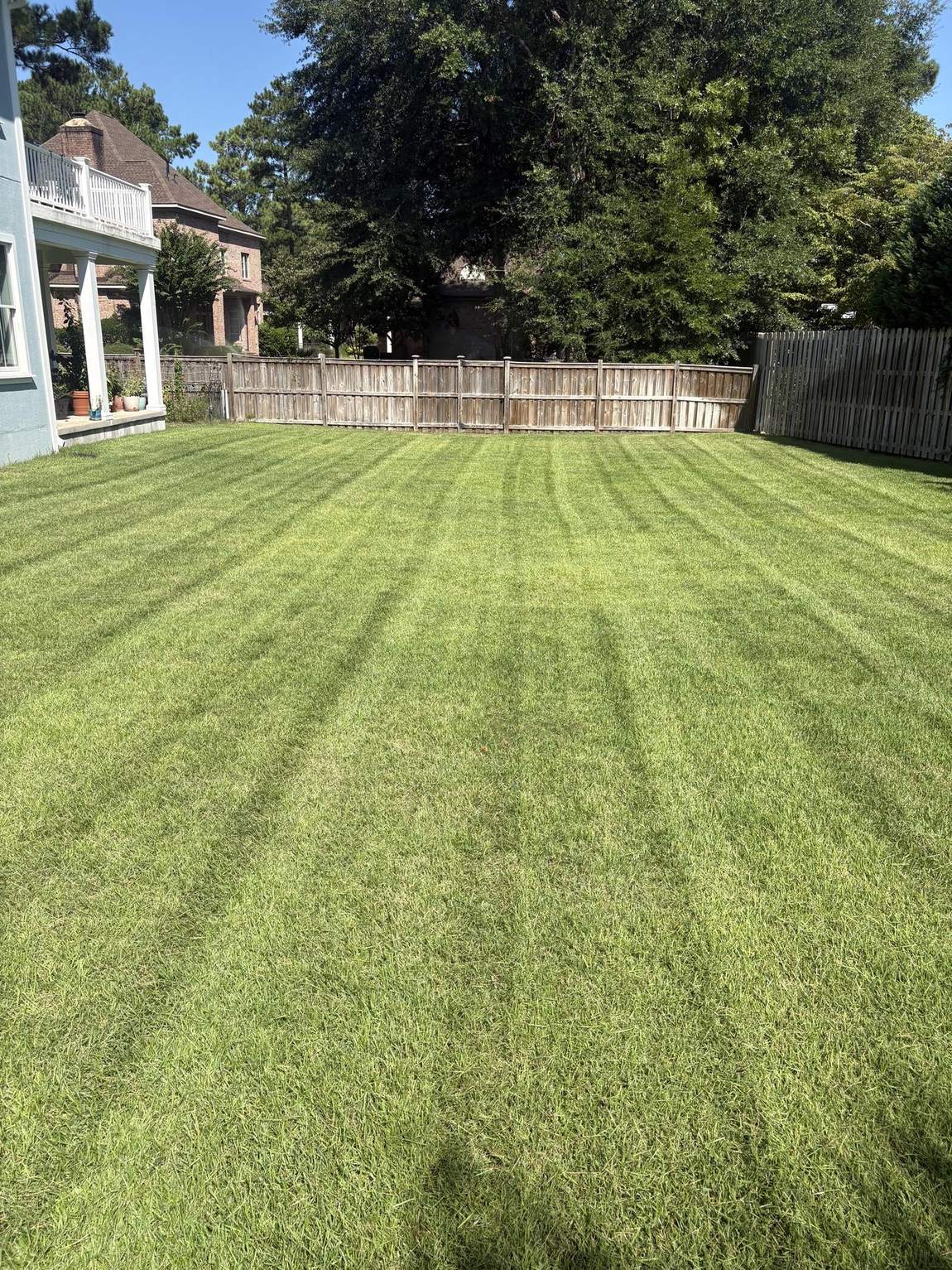 Wide striped lawn