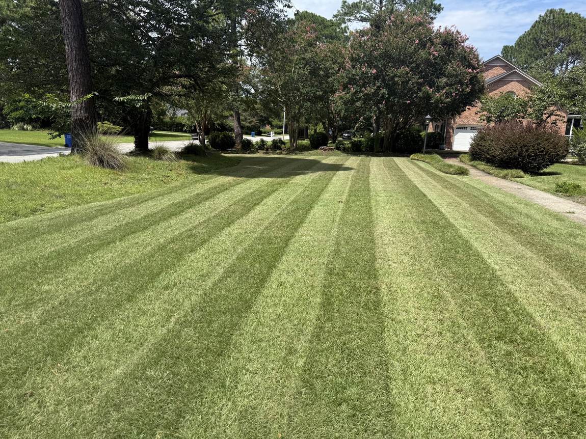 Wide striped front lawn running back to the treeline