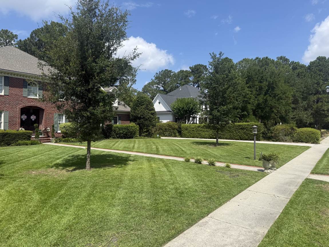 Striped lawn either side of a front walk
