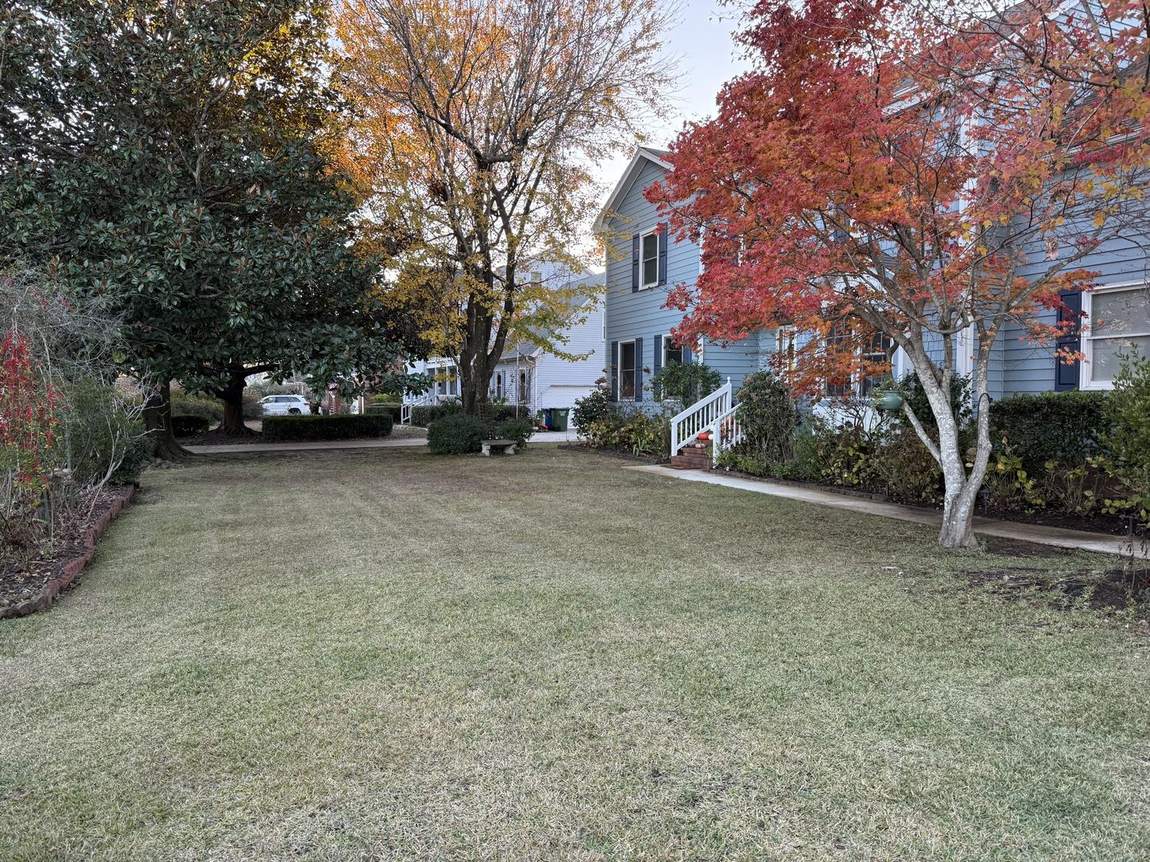 Front yard cleared of leaves
