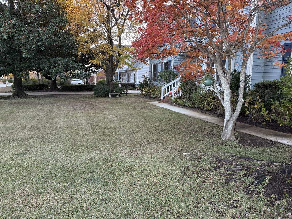 Lawn cleared of leaves in autumn