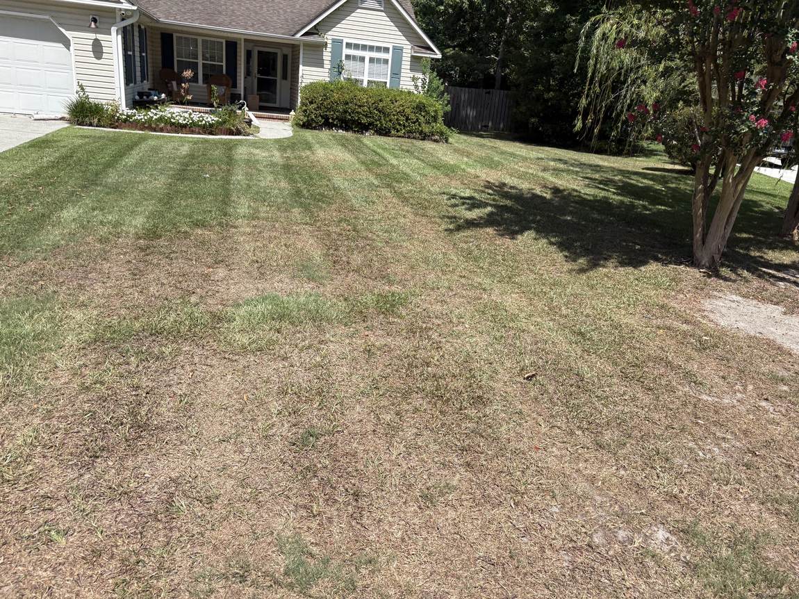 Front yard cleared of leaves at a Wilmington ranch