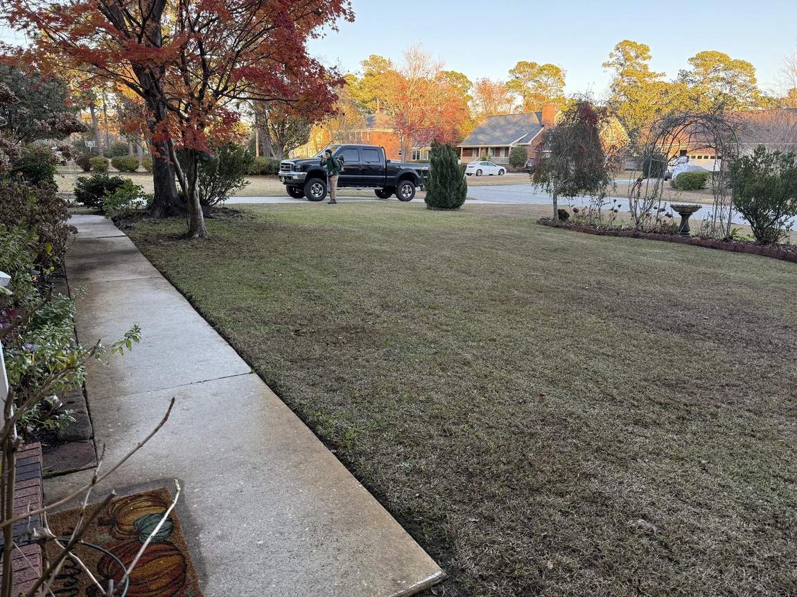 Walkway and lawn cleared of fall leaves