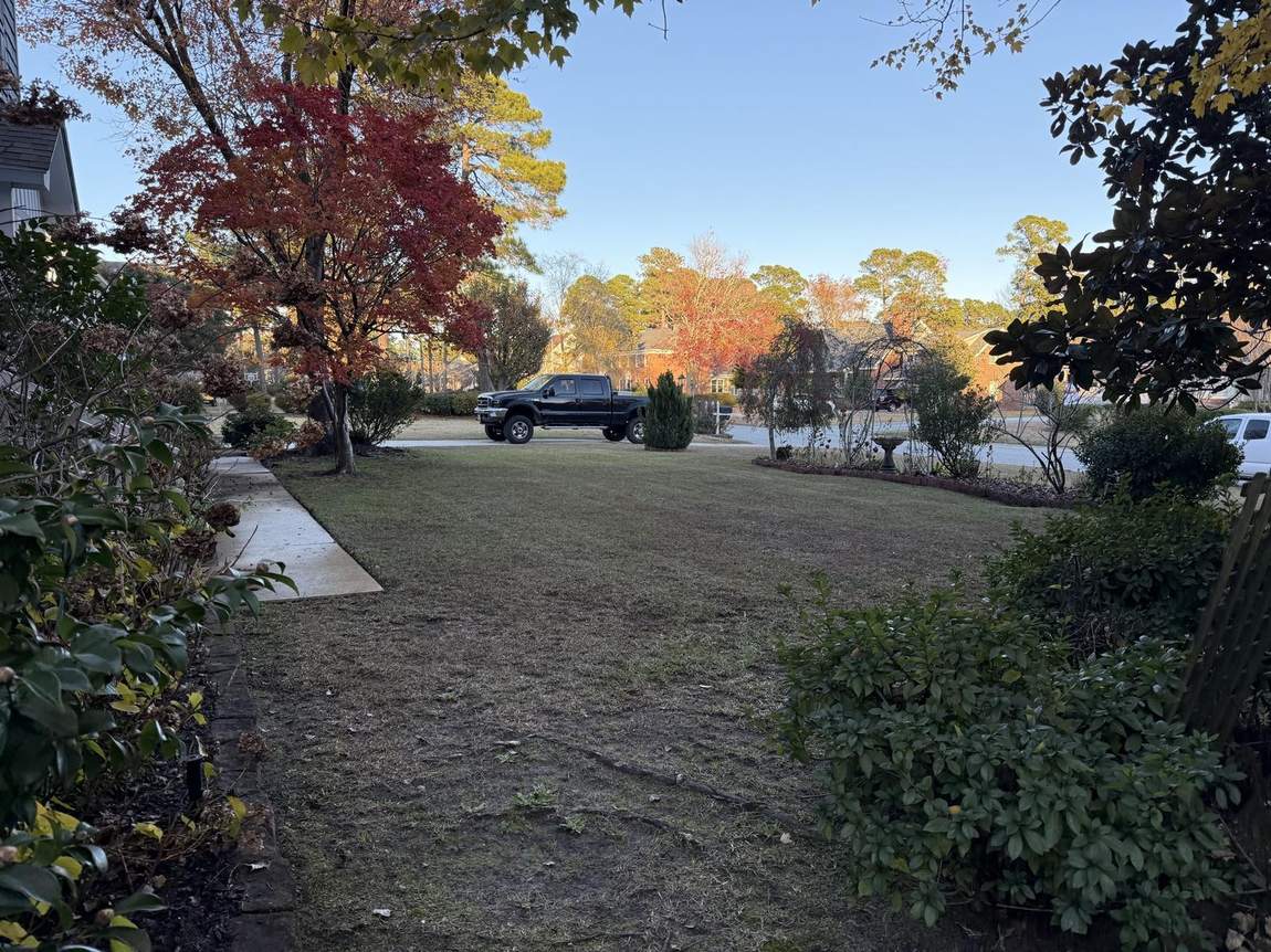 Autumn colour over a tidy front yard