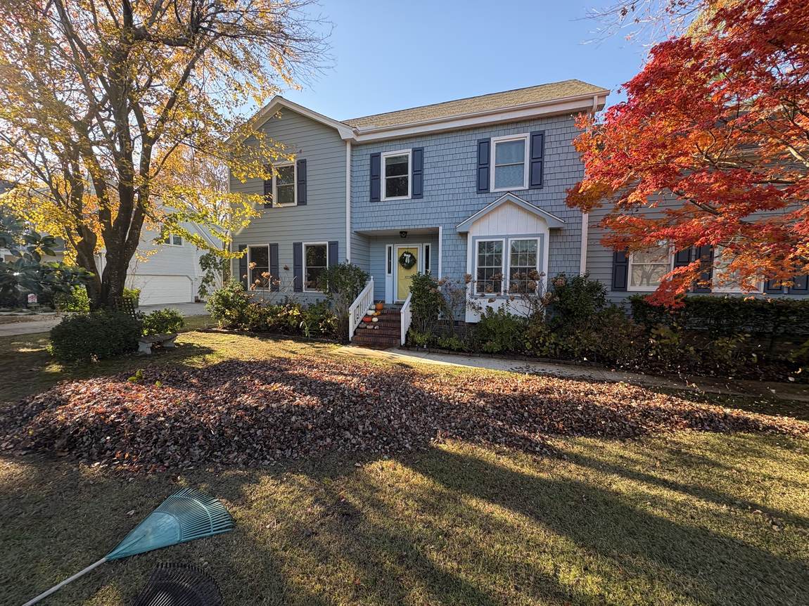 Red maple in full colour over a cleared front lawn