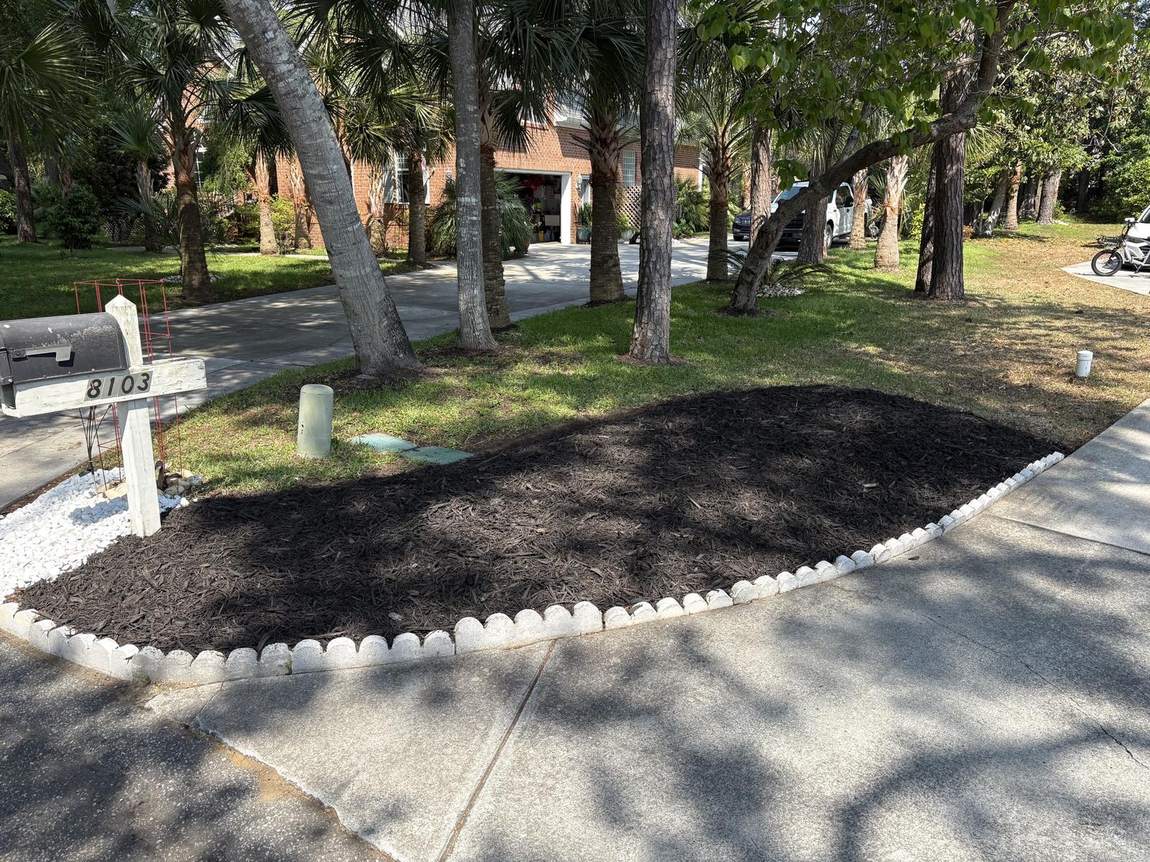 Curved mulch bed beside a driveway