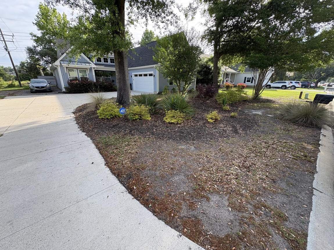 Mulched corner bed cut into the lawn