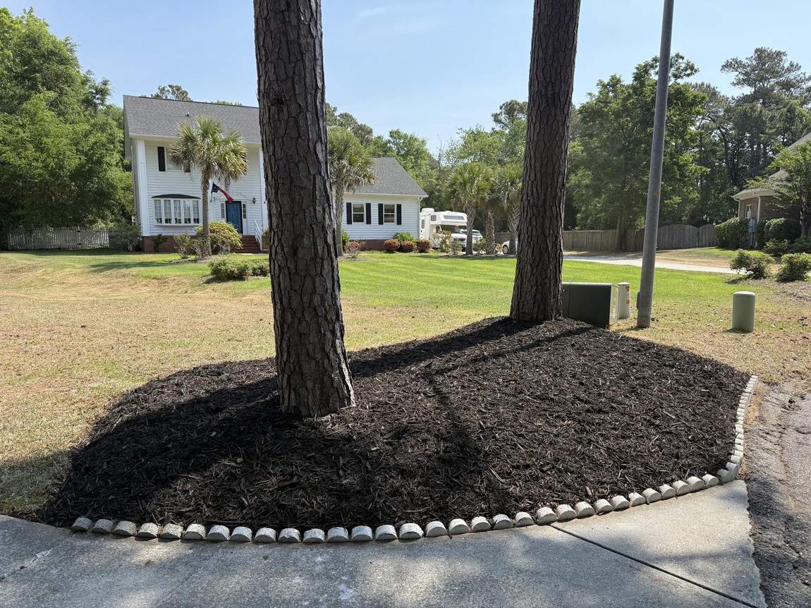 Long mulch border along a property line